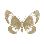 Soulnest AB logotyp