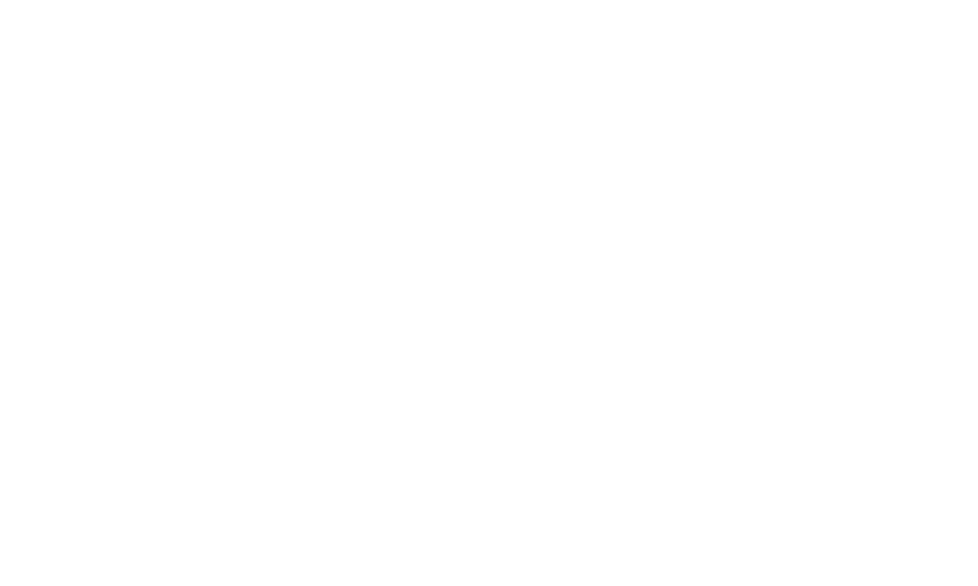 ElitNaprapati / Naprapat Henrik Mattsson AB logotyp
