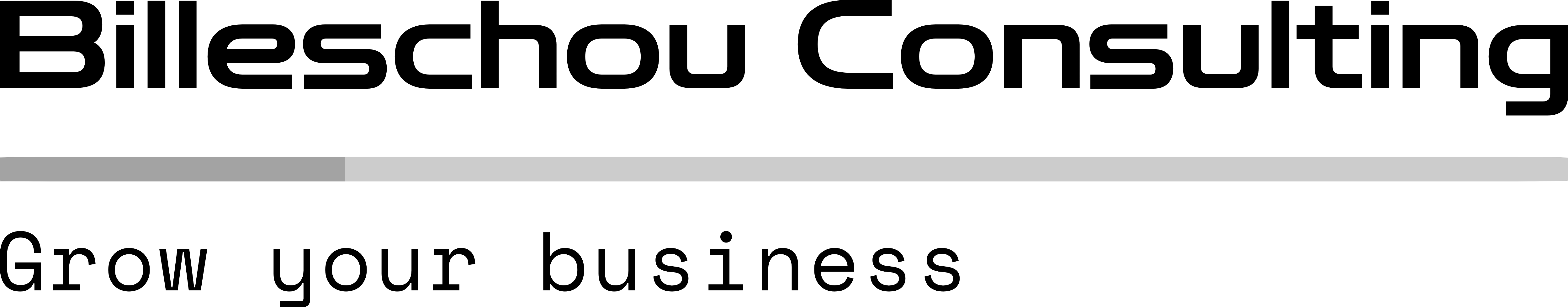 Billeschou Consulting AB logotyp
