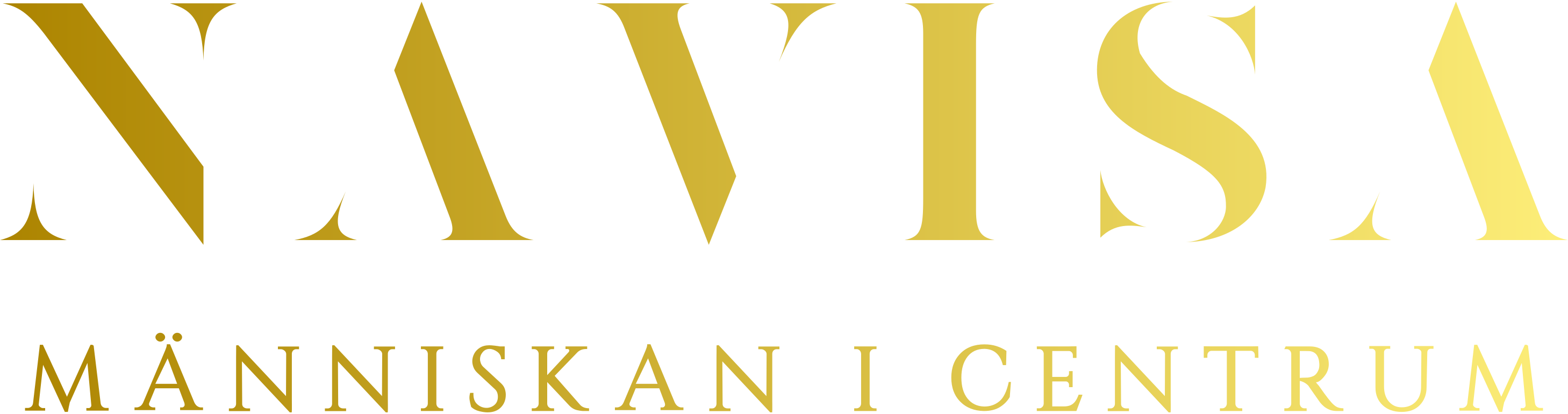Navisa AB logotyp