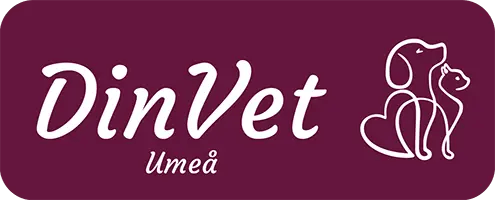 DinVet i Umeå AB logotyp