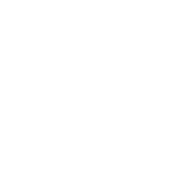 Cesar Society AB logotyp