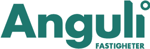 Anguli Holding AB logotyp