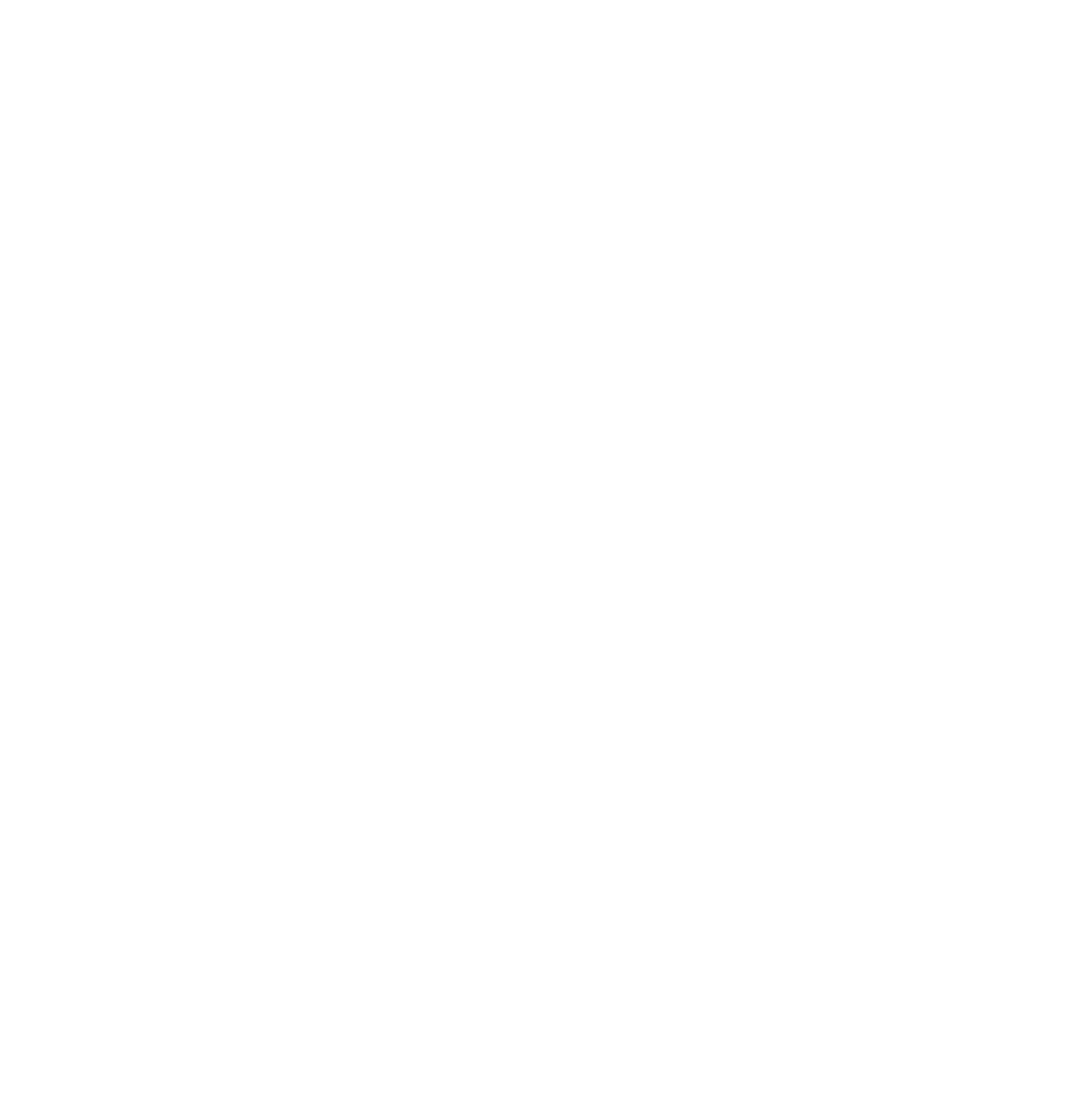Nice Vibes Vadstena AB logotyp