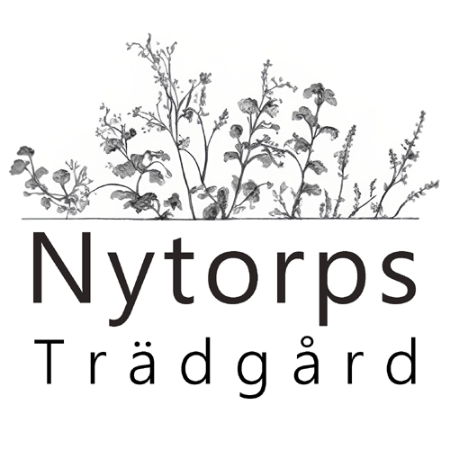 Nytorps trädgård AB logotyp