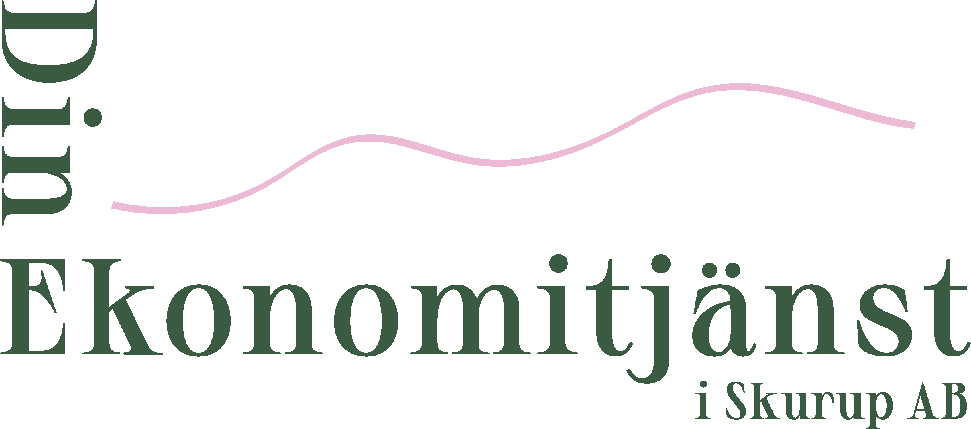 Din Ekonomitjänst i Skurup AB logotyp