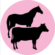Bissen Veterinärtjänst AB logotyp