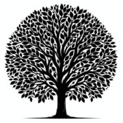 Stora Asken Consulting AB logotyp
