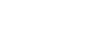 Flash Digital Agency AB logotyp