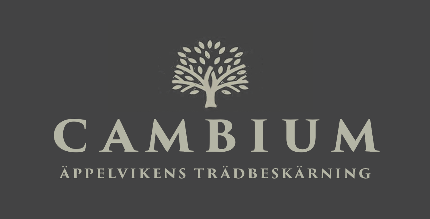 Cambium Äppelvikens trädbeskärning AB logotyp