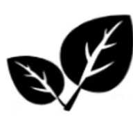 Psyflexia AB logotyp