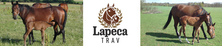 Lapeca Trav AB logotyp