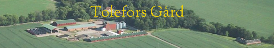 Tolefors Gård AB logotyp