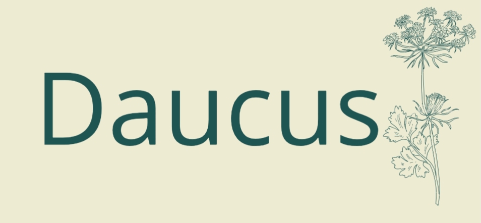 Daucus AB logotyp