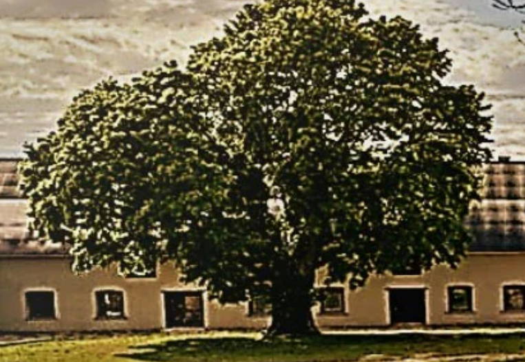 Gård Halltorps Hage AB logotyp