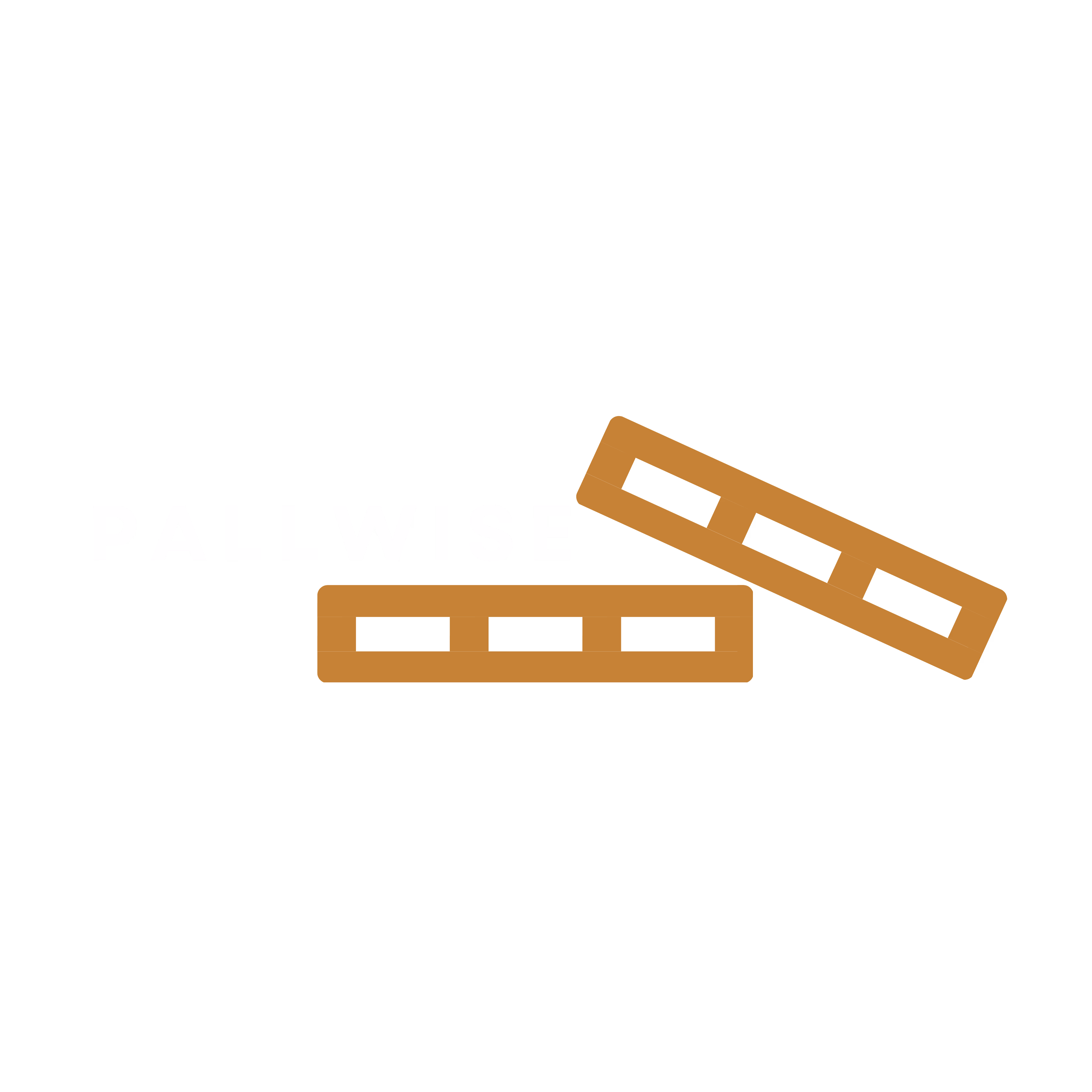 Pallwise AB logotyp