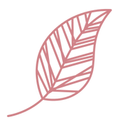 Palettparadiset AB logotyp