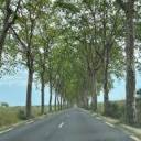 Les Platanes AB logotyp