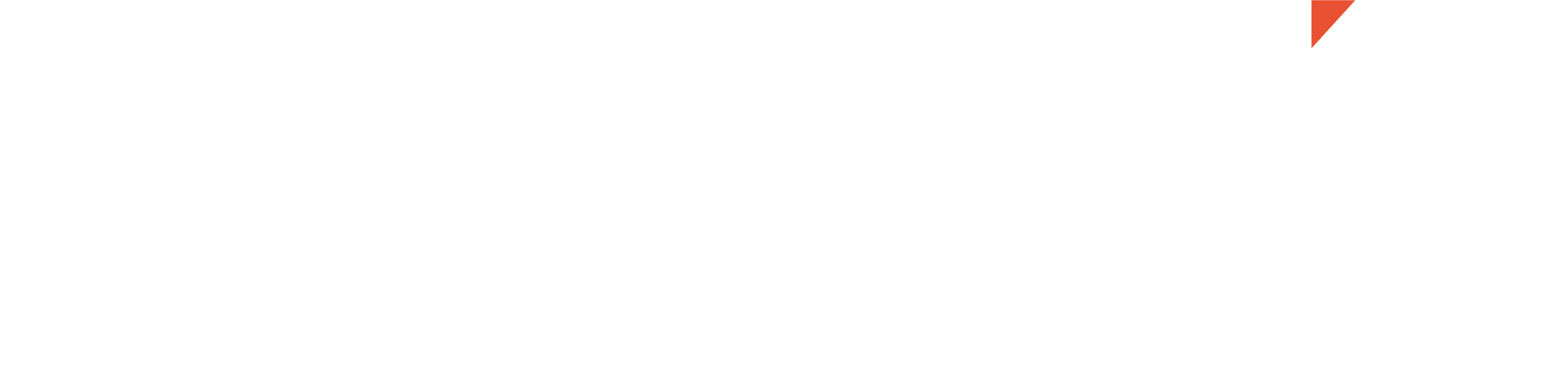 Nestit Group AB logotyp