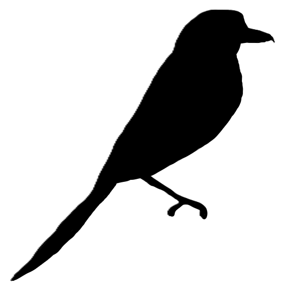 Lanius Ekologi AB logotyp