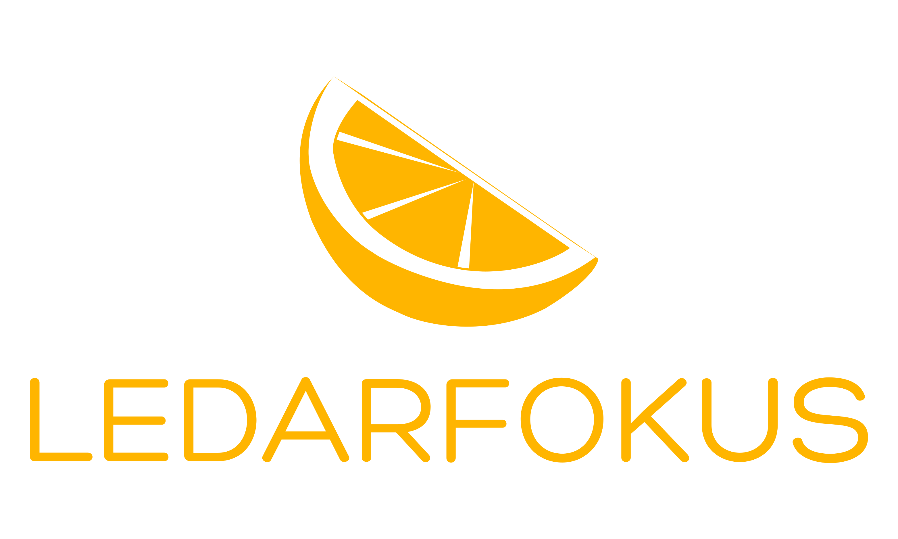 Ledarfokus Stockholm AB logotyp