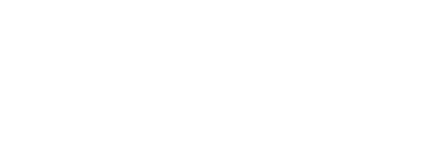Protec Europe AB logotyp