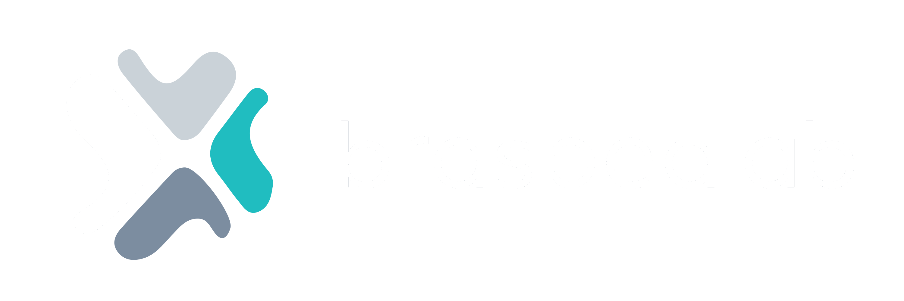 Brasped AB logotyp