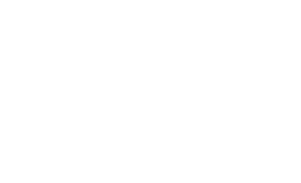 Riga Tiger AB logotyp