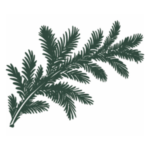 AB Granquists plantskola logotyp