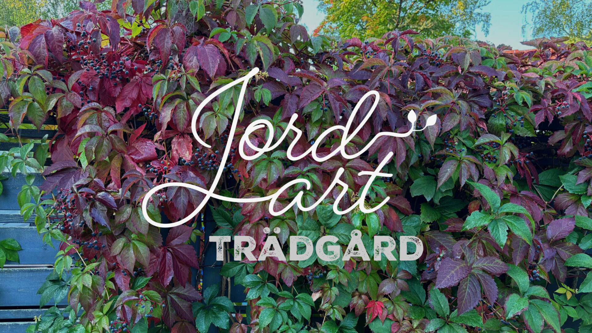 Jordart Trädgård AB logotyp