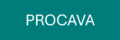 Procava AB logotyp