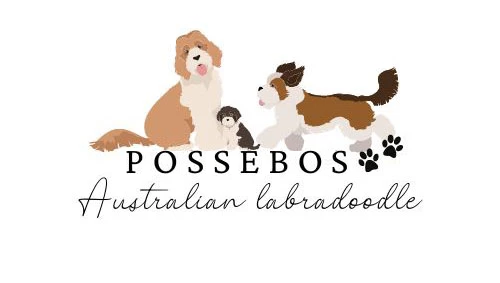 Possebos Australian Labradoodle AB logotyp