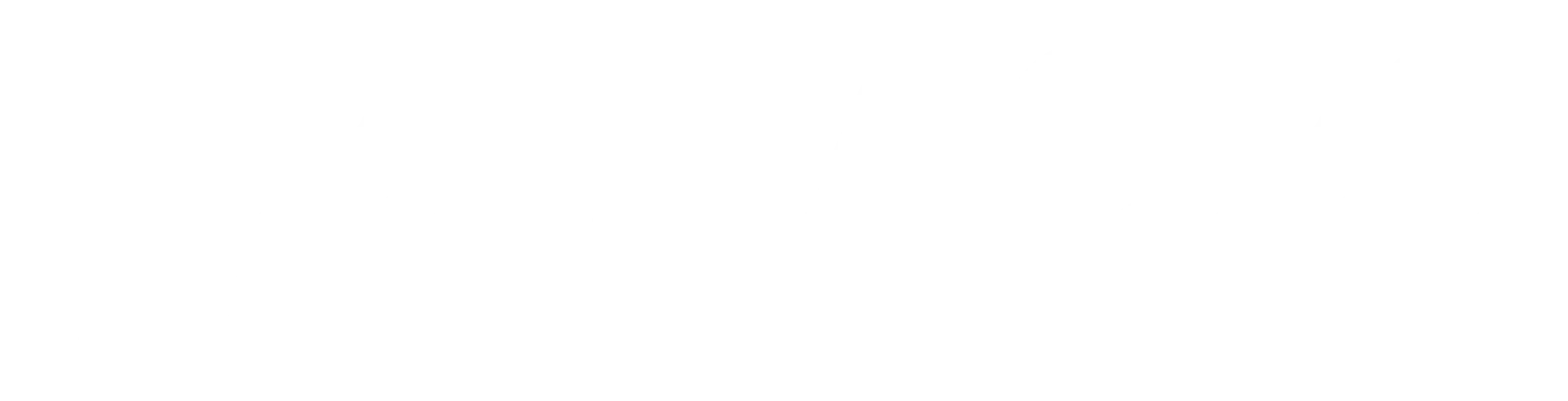 Nelhages Måleri AB logotyp