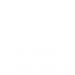Veia AB logotyp