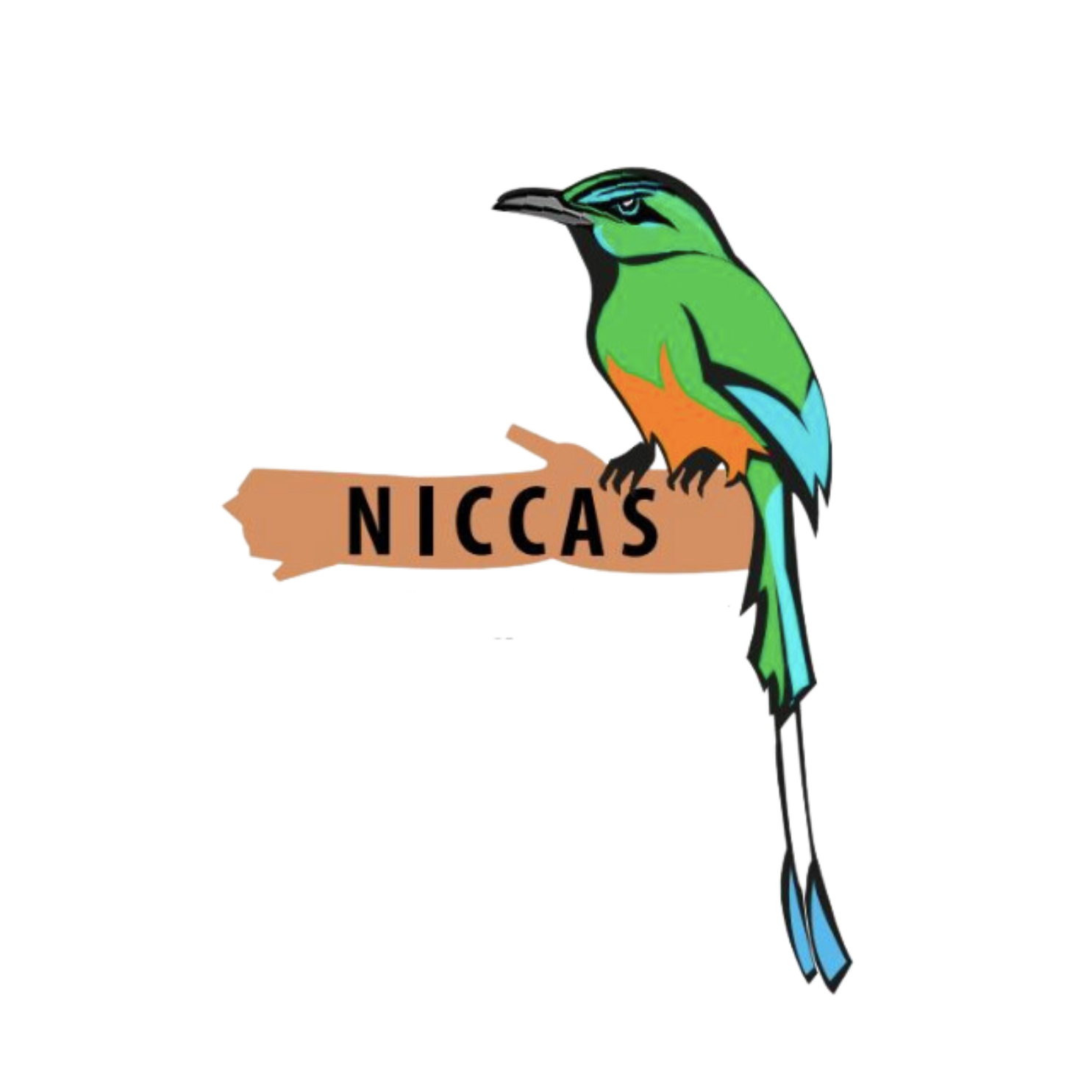 Niccas Städtjänster AB logotyp