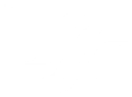 Santori Sweden AB logotyp