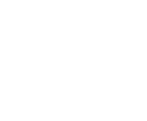 Frodig Näsåkers Ekobutik AB logotyp