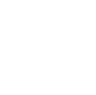 Leonardo English AB logotyp