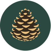 FPI Group AB logotyp