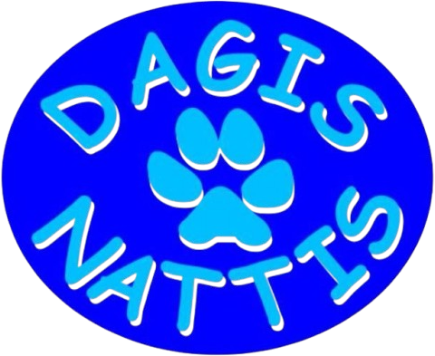Dagis Nattis Sundsvall AB logotyp