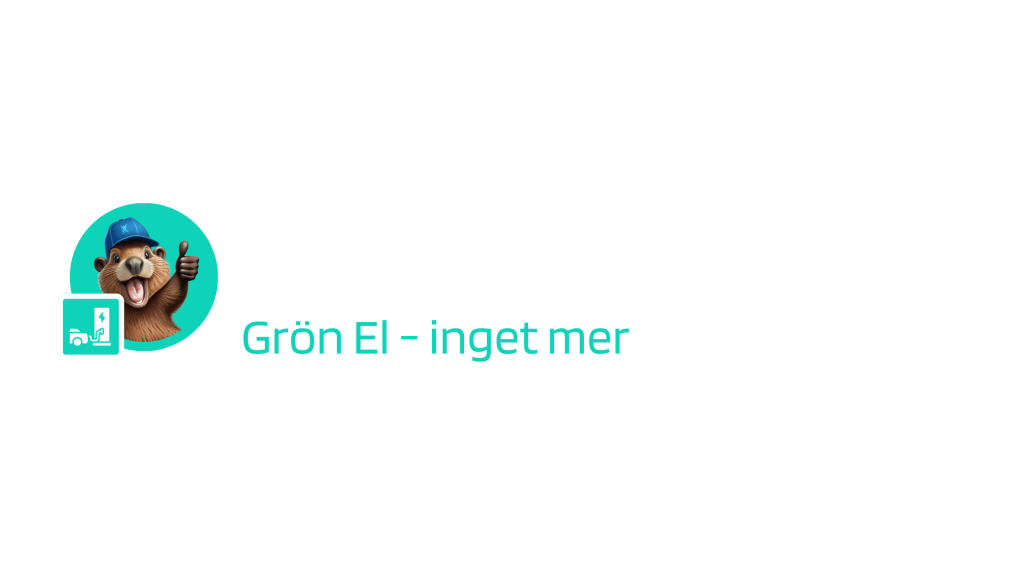 Batterimacken i Norrköping AB logotyp