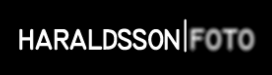 MARCUS HARALDSSON foto, text & media AB logotyp