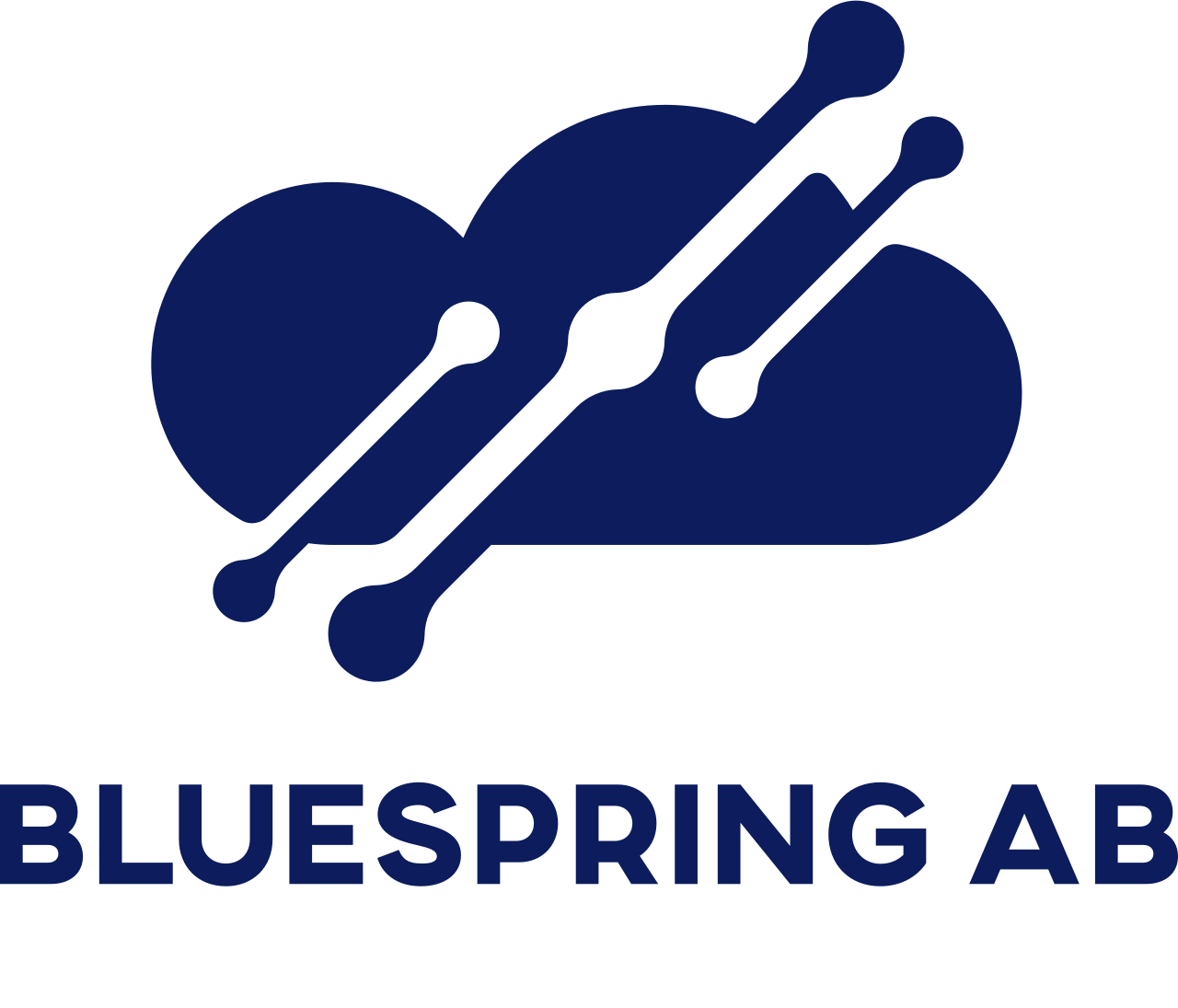 Bluespring AB logotyp