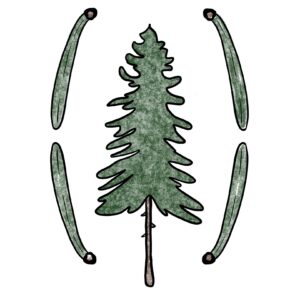 Fir Grove Games AB logotyp