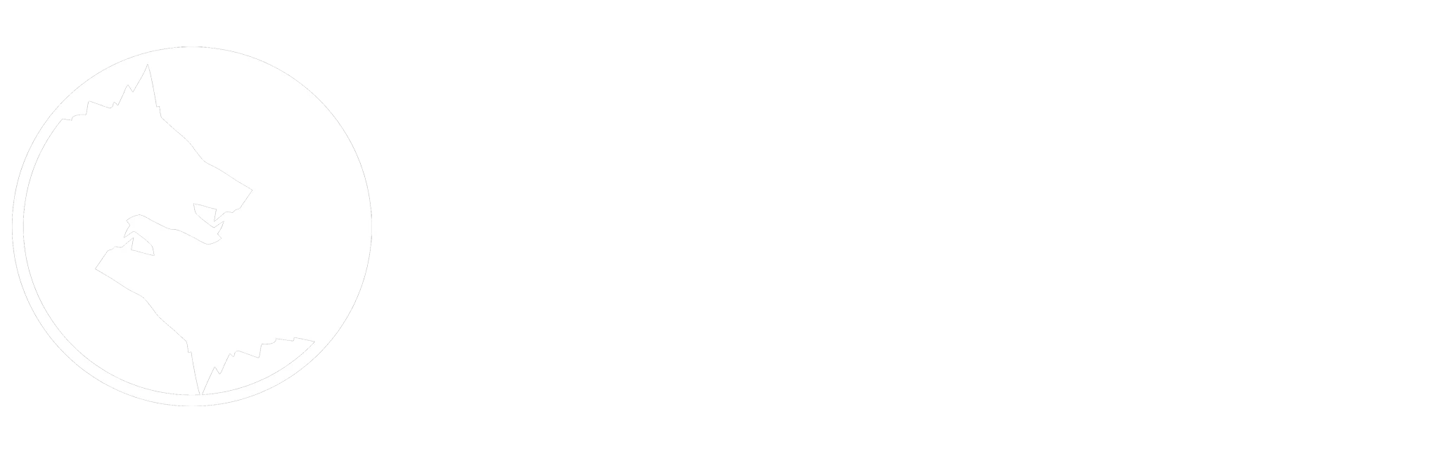 VitaNorse AB logotyp