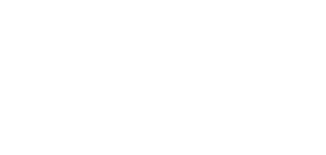 deLite Solutions AB logotyp