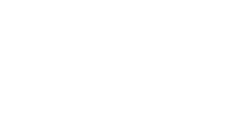 Dala Stål & Designtillverkning AB logotyp