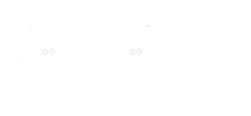 Läroböcker i Sverige AB logotyp