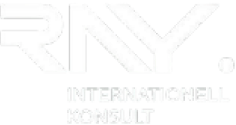 RAY Internationell Konsult AB logotyp