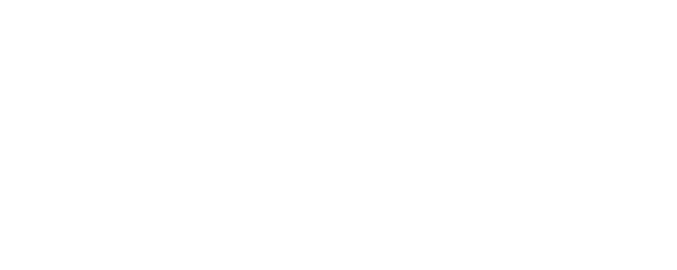Nexo Link AB logotyp
